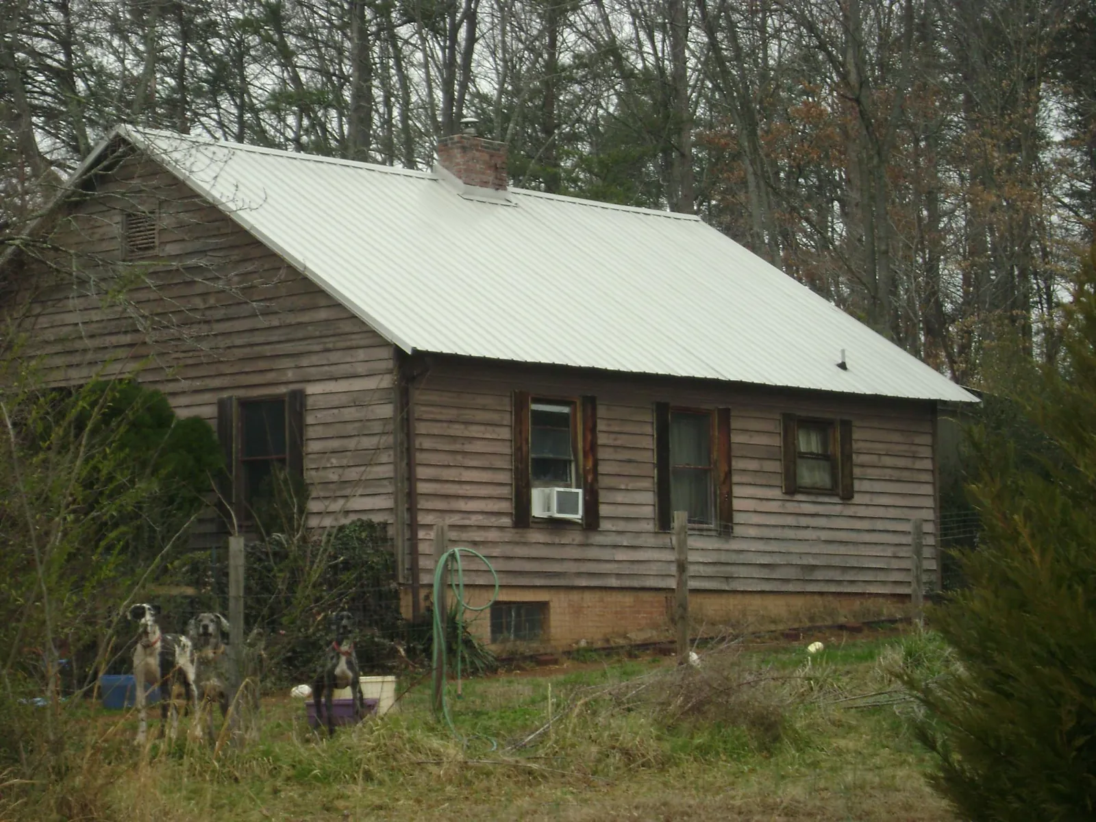 White metal roof on an old wood sided farmhouse, from a Asphalt Shingle Roof Repair job in Huntington Woods